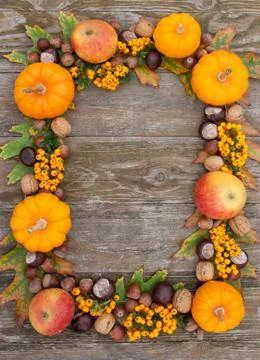 Autumn Stock Photos