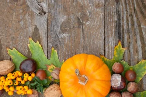 Autumn Stock Photos