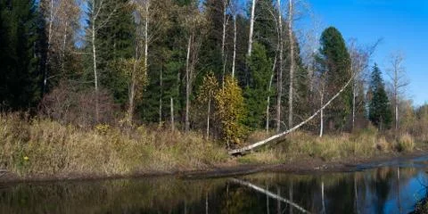 Autumn Foto stock