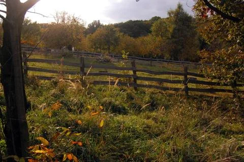 Autumn Stock Photos