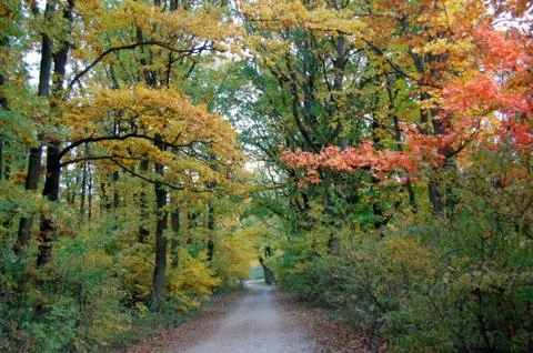 Autumn Stock Photos