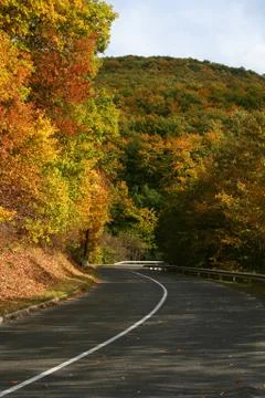 Autumn Stock Photos