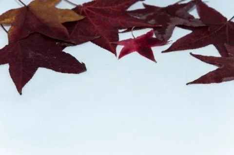 Autumn 스톡 사진