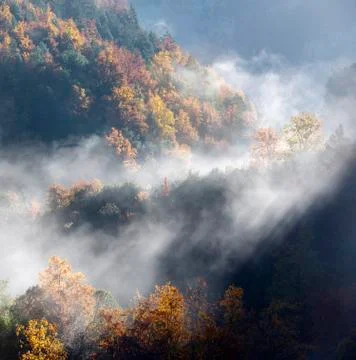Autumn Stock Photos