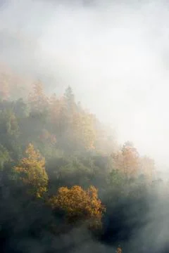 Autumn Stock Photos
