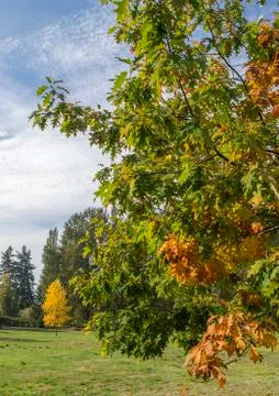 Autumn Stock Photos