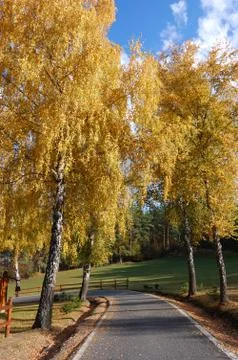 Autumn Stock Photos