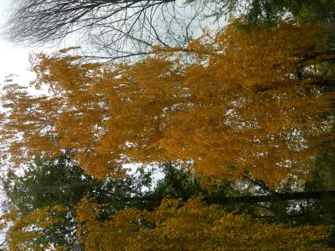 Autumn Stock Photos
