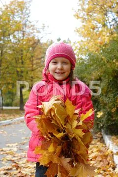 Autumn Stock Photos