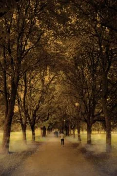 Autumn Stock Photos
