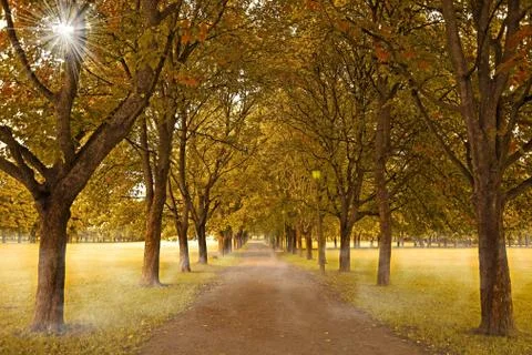 Autumn Stock Photos