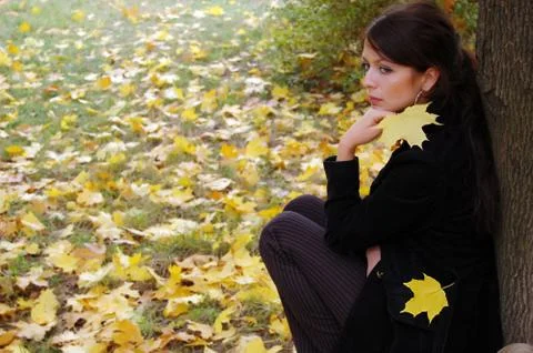 Autumn Stock Photos