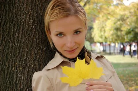 Autumn Stock Photos
