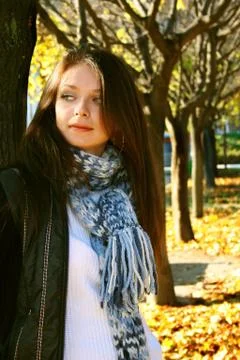 Autumn Stock Photos