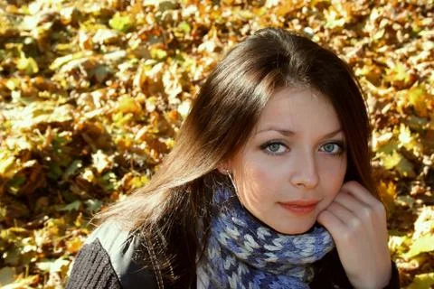 Autumn Stock Photos