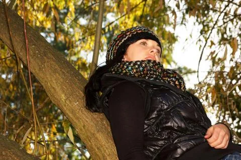 Autumn Stock Photos