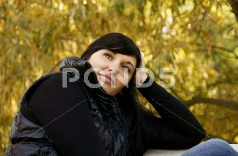 Autumn Stock Photos