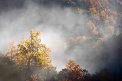 Autumn Фото