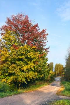 Autumn Stock Photos