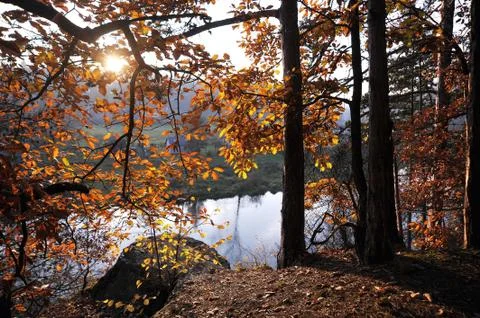 Autumn Stock Photos