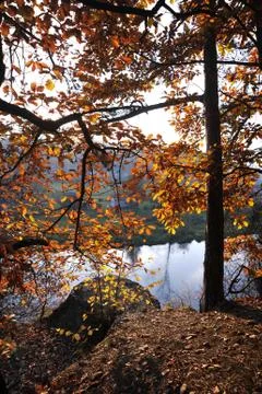 Autumn Stock Photos