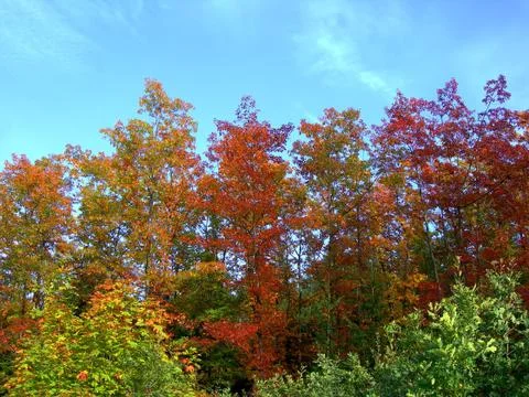 Autumn Stock Photos