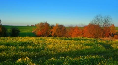 Autumn Stock Photos