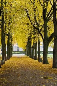 Autumn Stock Photos