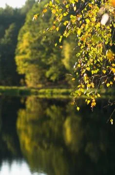 Autumn Foto stock