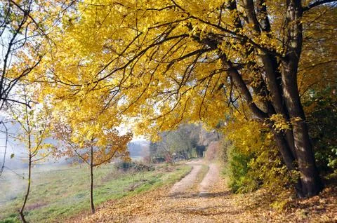 Autumn Stock Photos