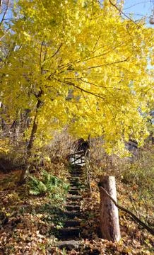 Autumn Foto stock