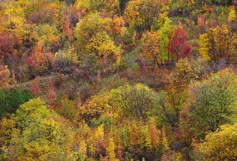 Autumn Stock Photos
