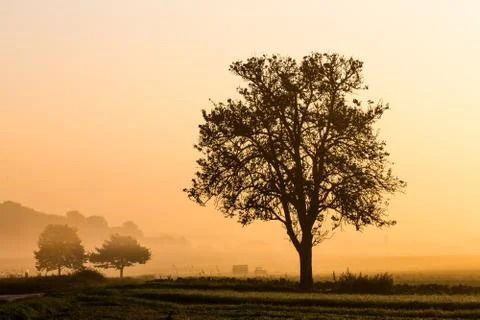 Autumn Stock Photos