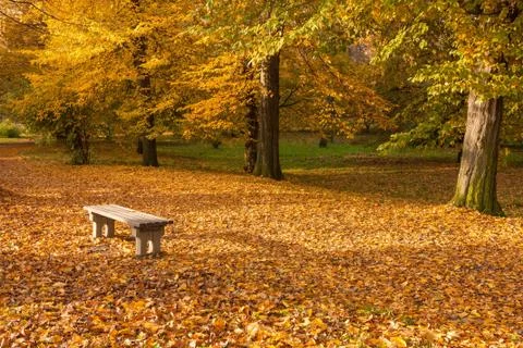 Autumn Stock Photos
