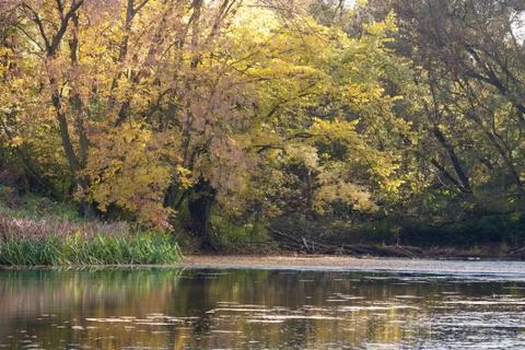 Autumn Stock Photos