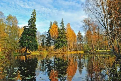 Autumn Foto stock