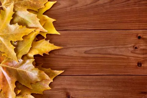 Autumn Stock Photos