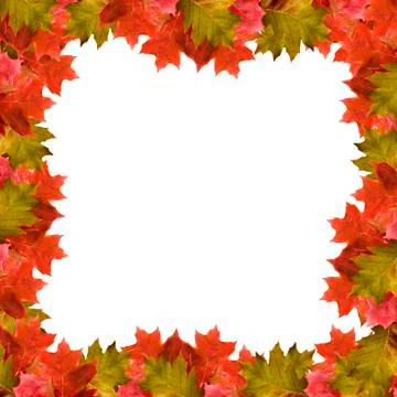 Autumn 스톡 사진