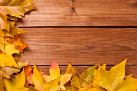 Autumn Stock Photos