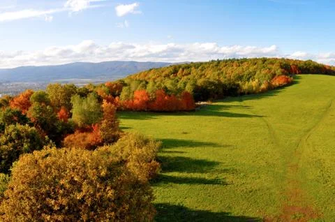 Autumn Stock Photos