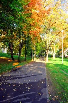 Autumn Stock Photos