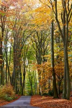 Autumn Stock Photos