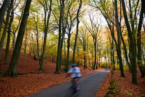 Autumn Foto stock