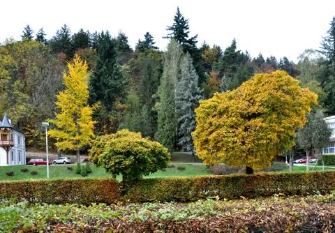 Autumn Stock Photos