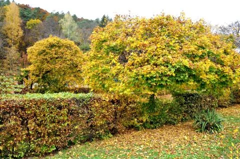 Autumn Stock Photos