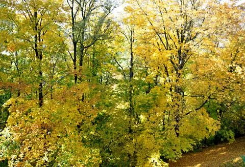 Autumn Stock Photos