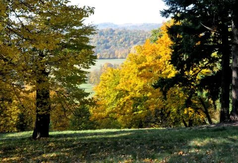 Autumn Stock Photos