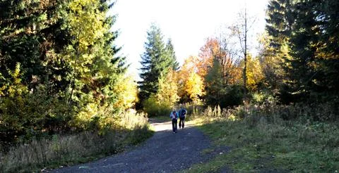 Autumn Stock Photos