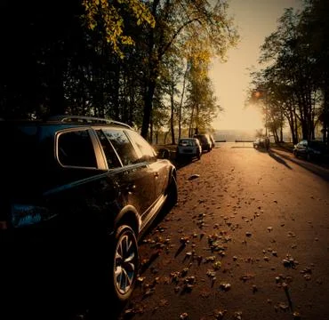 Autumn Foto stock