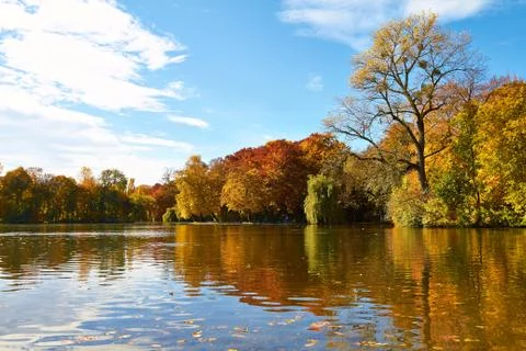 Autumn Stock Photos